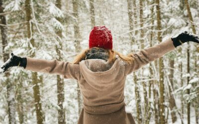 Achtsame Waldspaziergänge – Ein einfacher Weg zu mehr Achtsamkeit