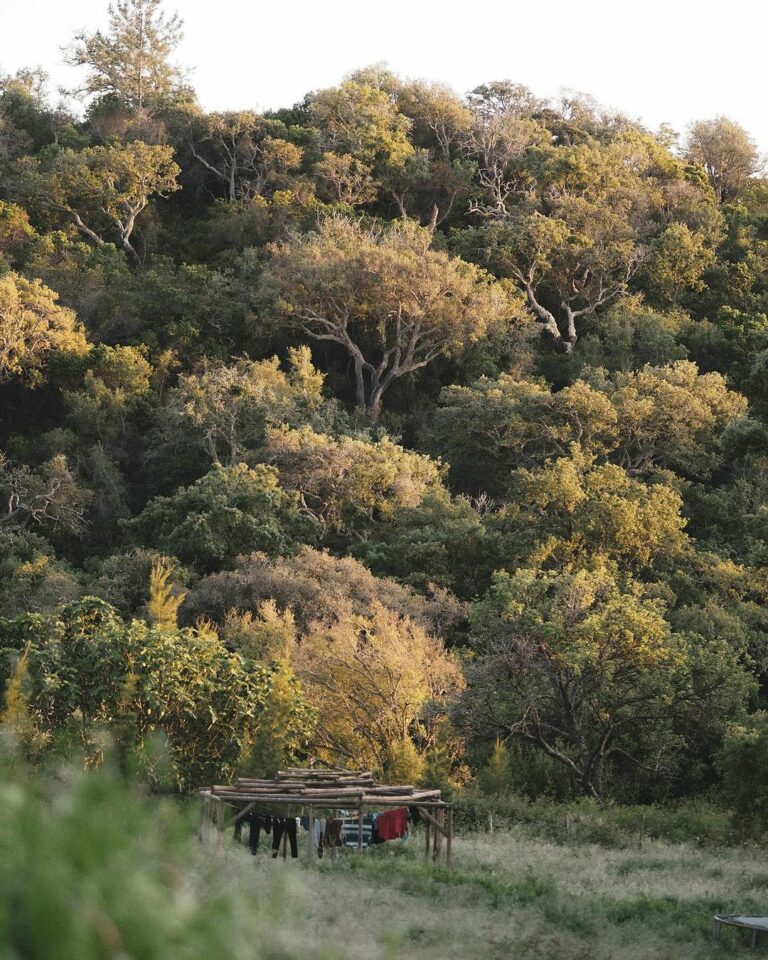 Snapinsta.app 437926322 18432508201013919 873793396881837156 n 1080 768x960