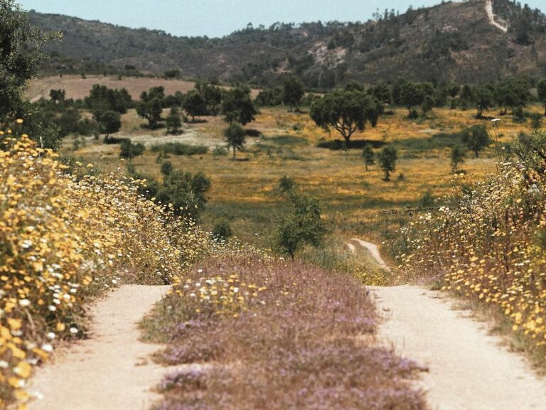 Snapinsta.app 442364763 18437713234013919 334275552720615786 n 1080 768x577